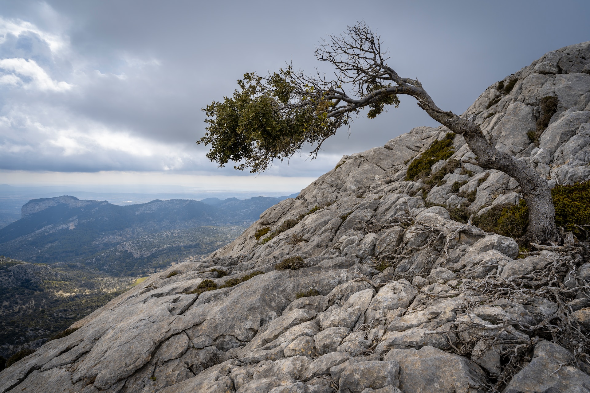 Reziliencia és a business coaching